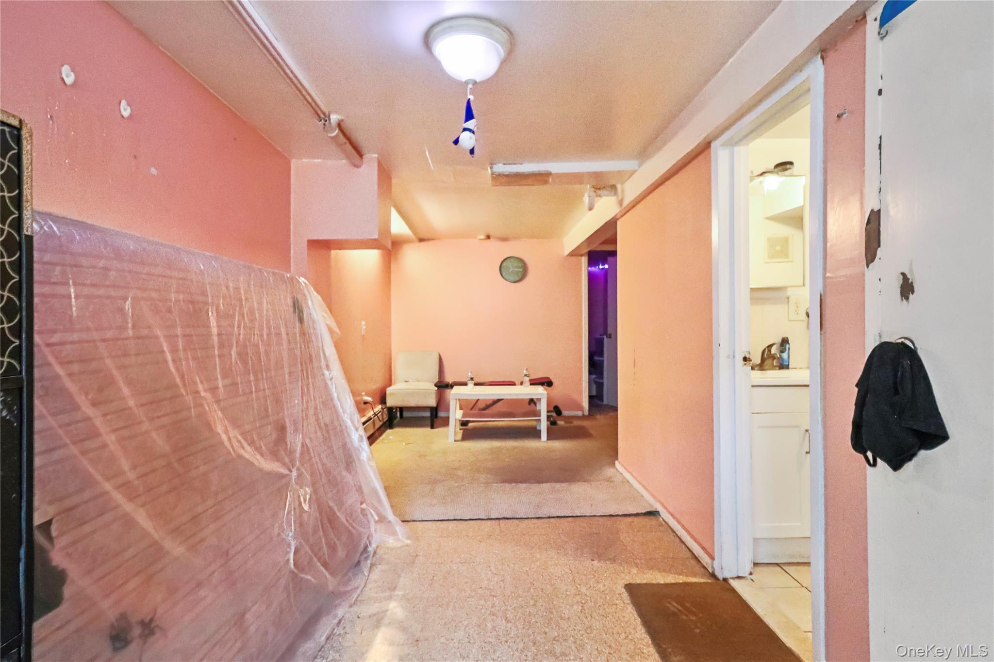 Single Family 124th Queens, NY 11420, MLS-919985-20