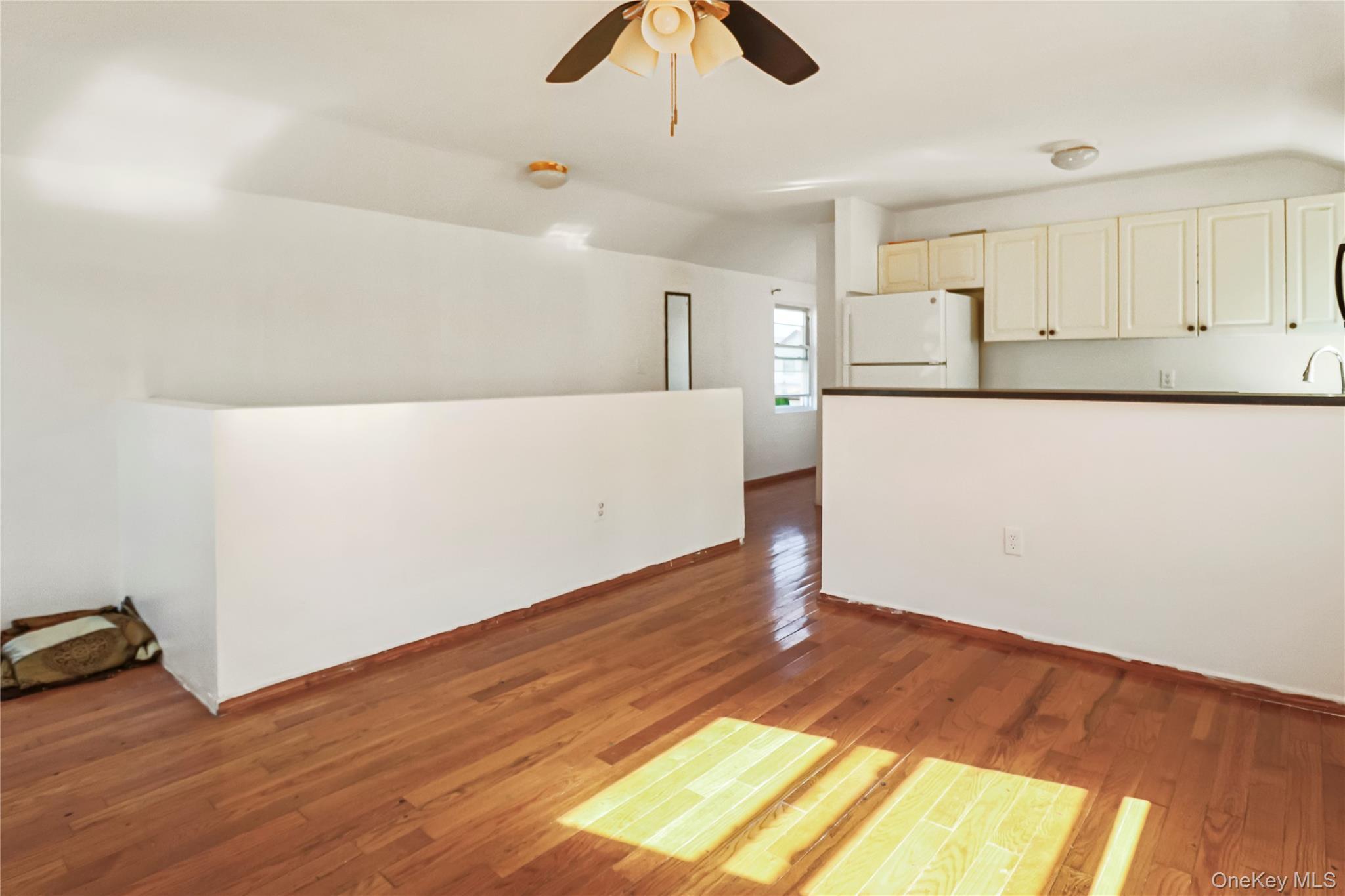 Single Family 124th Queens, NY 11420, MLS-919985-5