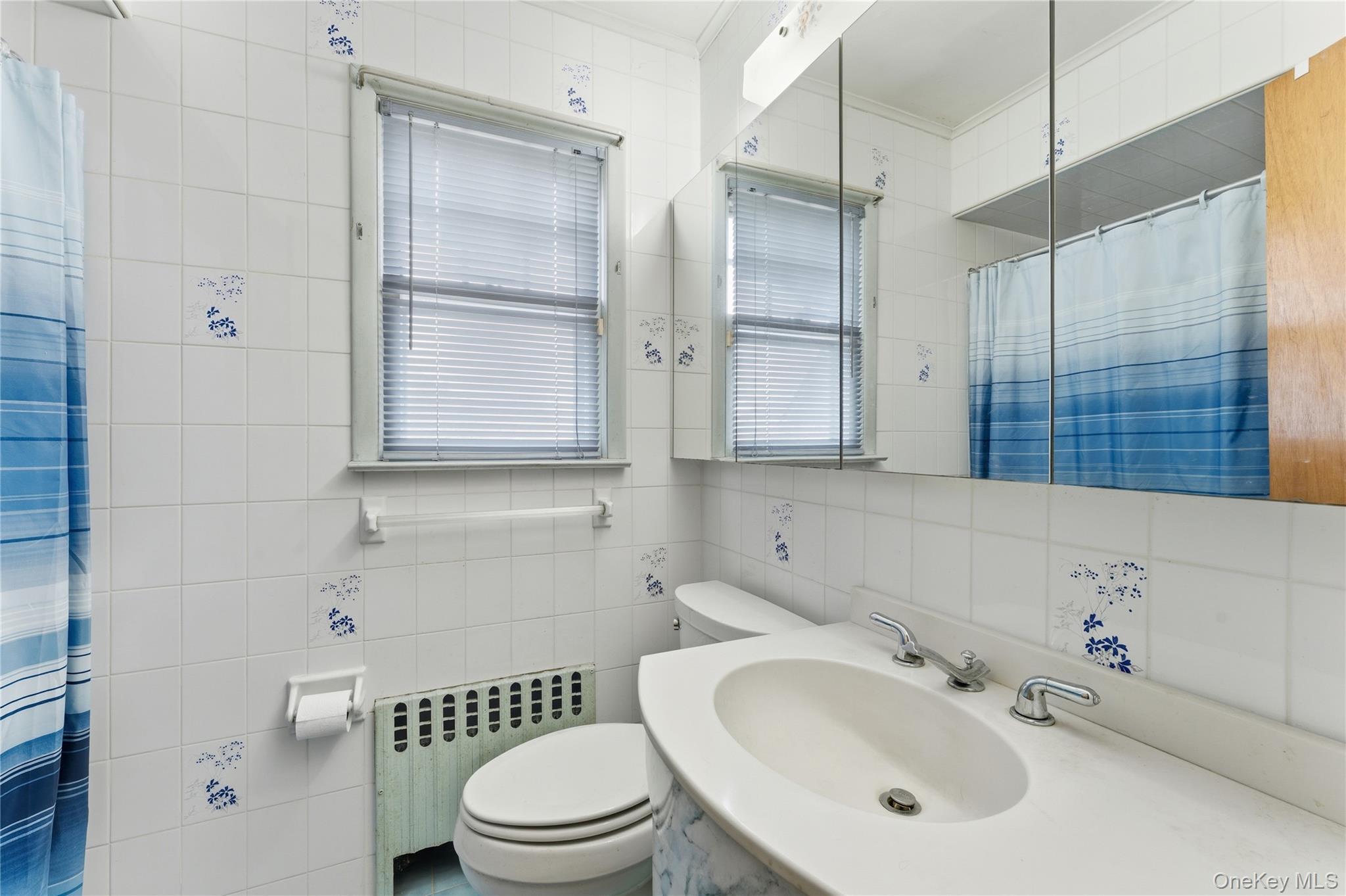 Single Family Surprise  Nassau County, NY 11003, MLS-919999-10