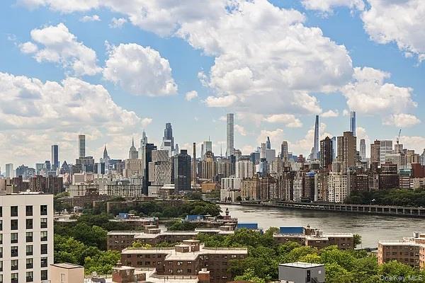 Condo 4  Queens, NY 11102, MLS-920030-5