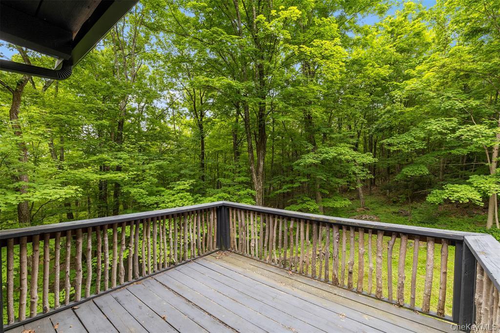 Single Family Hill Ulster County, NY 12401, MLS-920106-20