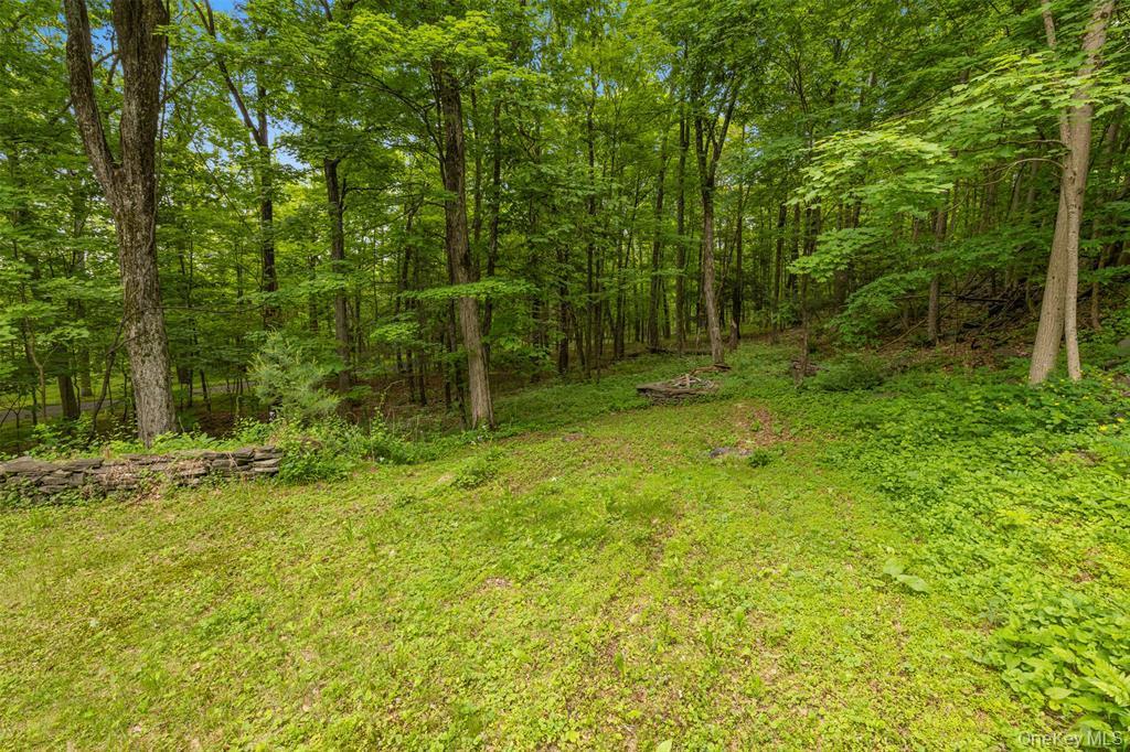 Single Family Hill Ulster County, NY 12401, MLS-920106-22