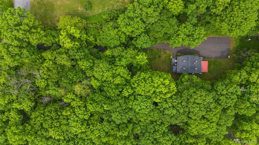 Single Family Hill  Ulster County, NY 12401, MLS-920106-25