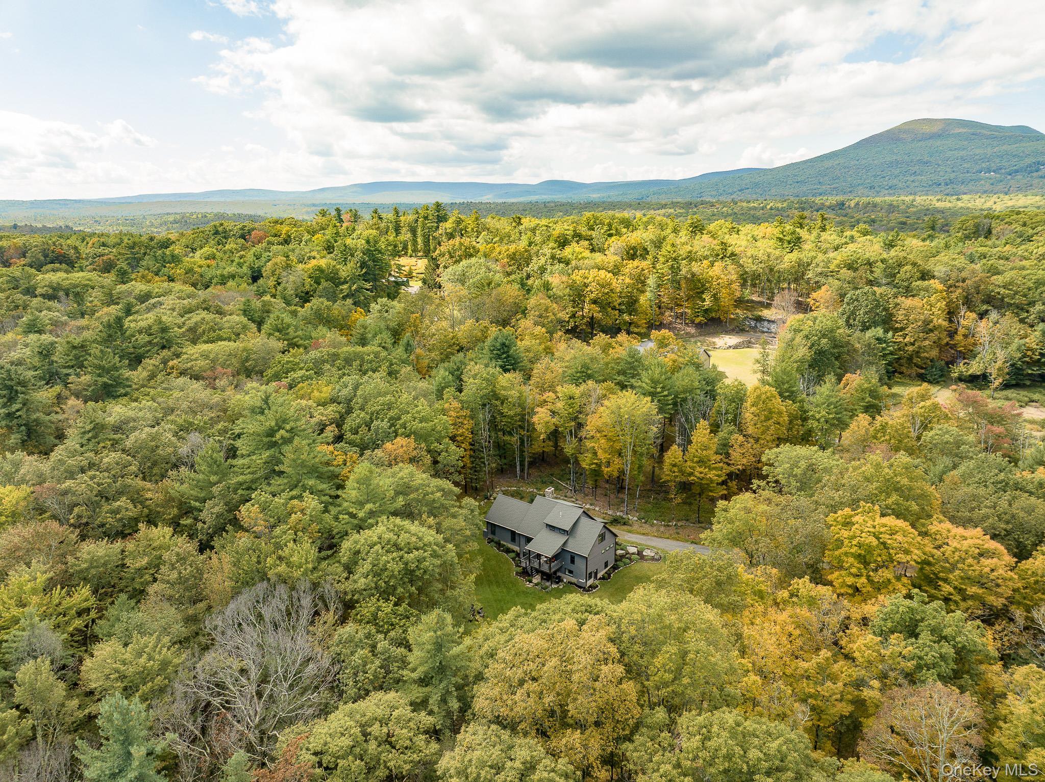 Single Family Acorn Hill Ulster County, NY 12461, MLS-920223-49