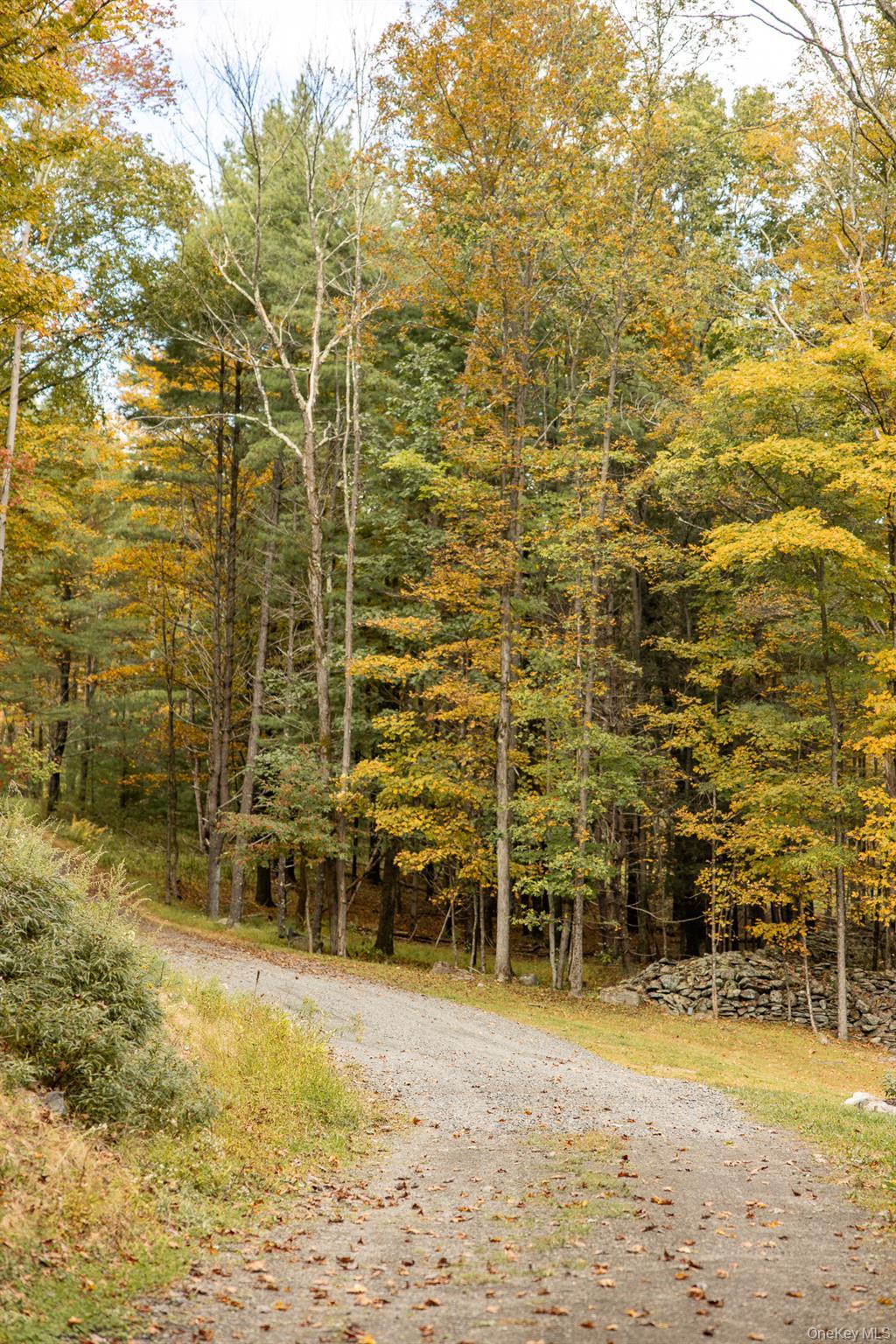 Single Family Acorn Hill  Ulster County, NY 12461, MLS-920223-50