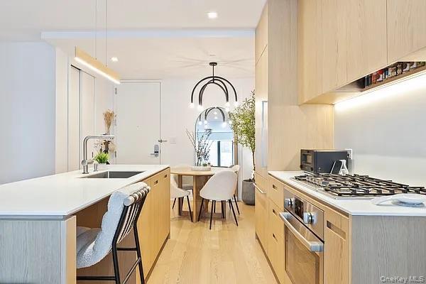 Condo Front  Brooklyn, NY 11201, MLS-920229-2