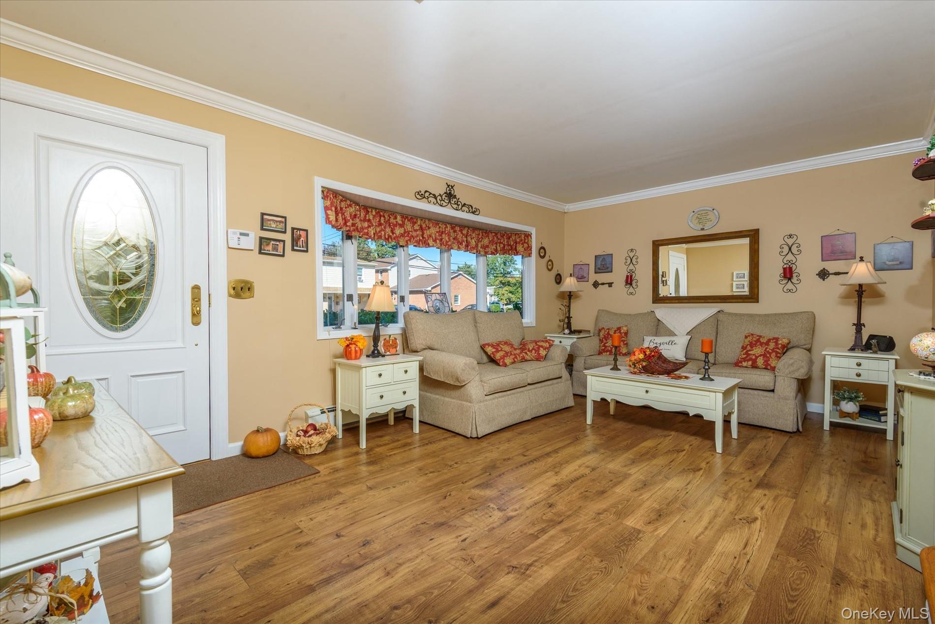 Single Family Violet Nassau County, NY 11709, MLS-920497-17