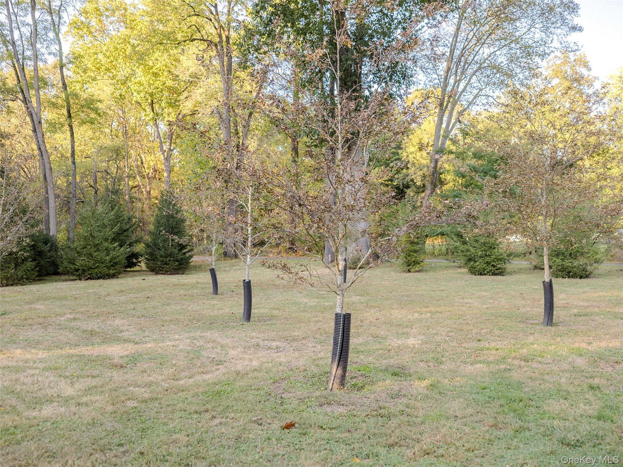 Single Family Colonial Orange County, NY 10990, MLS-920550-30