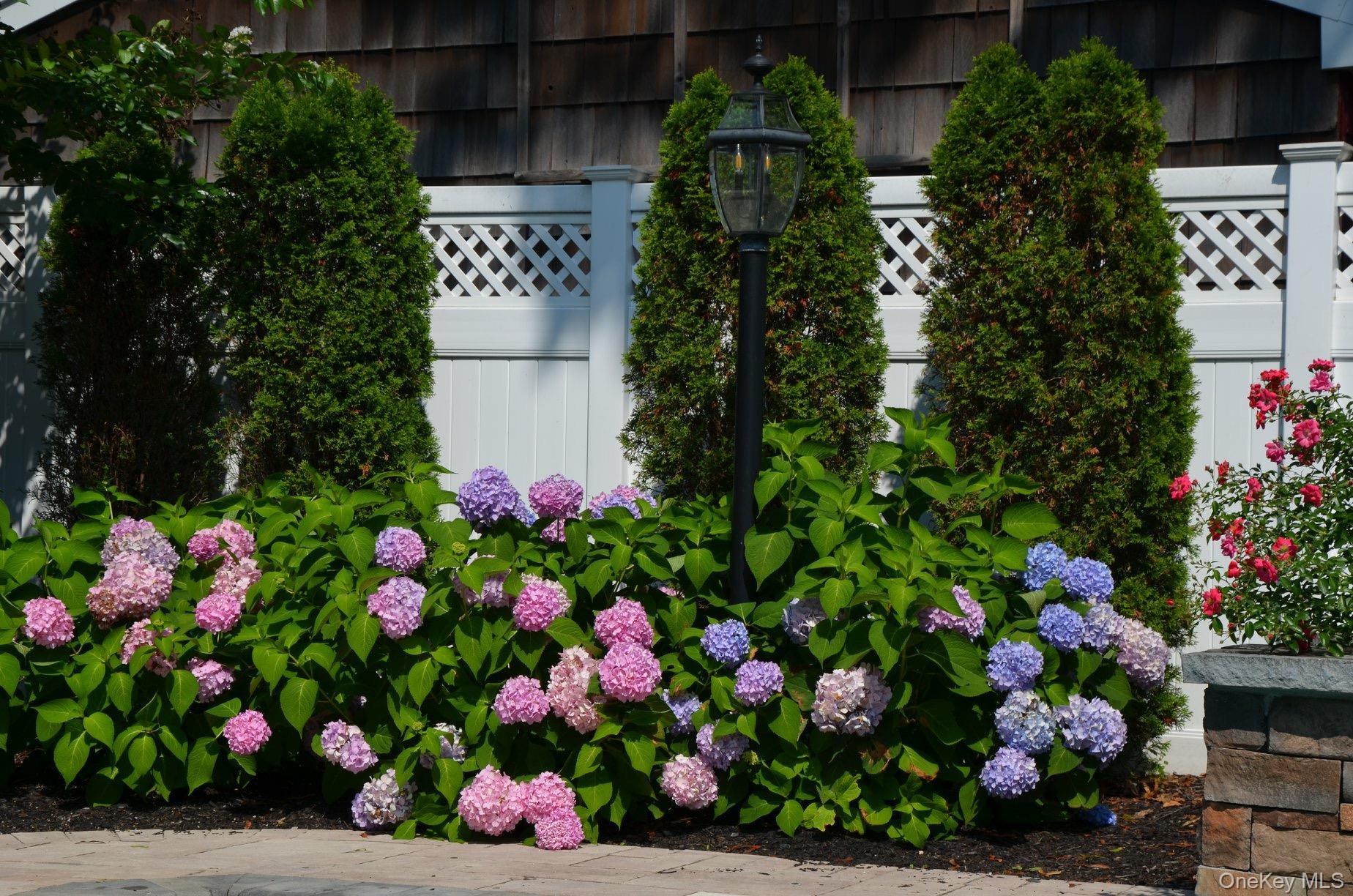 Single Family Marion  Nassau County, NY 11570, MLS-920576-34