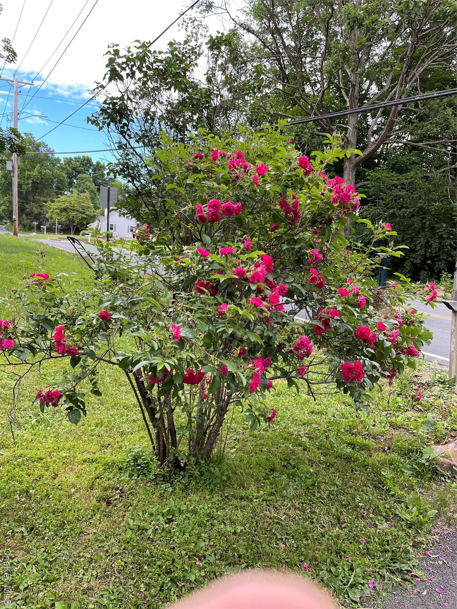 Single Family Lake  Orange County, NY 12577, MLS-920612-26