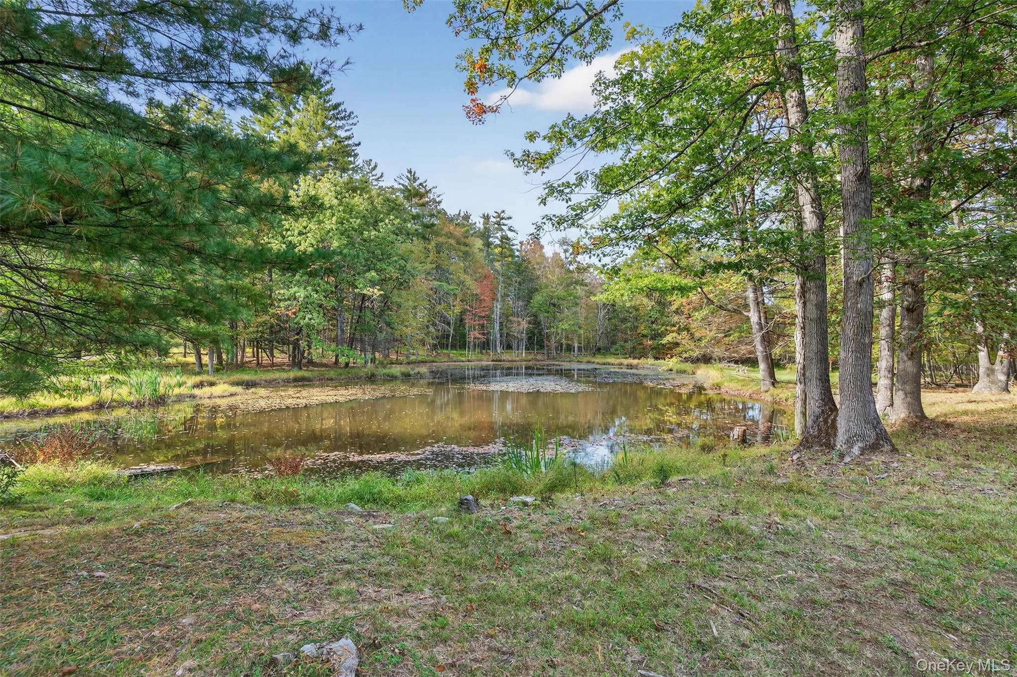 Single Family Ginger  Ulster County, NY 12440, MLS-920640-30