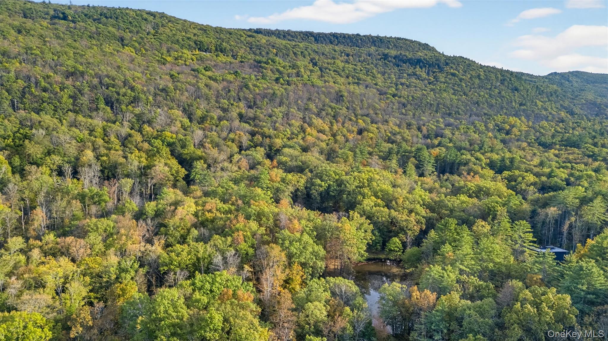 Single Family Ginger  Ulster County, NY 12440, MLS-920640-4