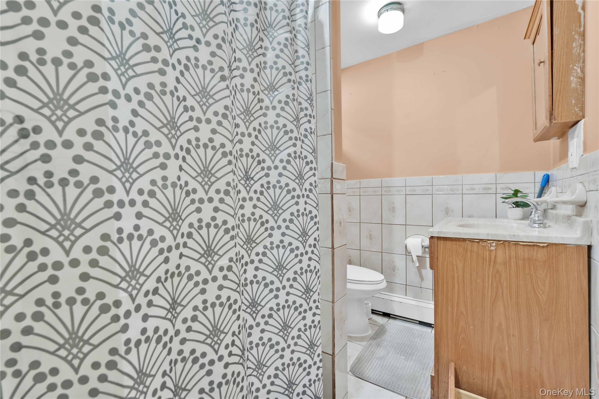 Single Family 119 Queens, NY 11434, MLS-920644-12