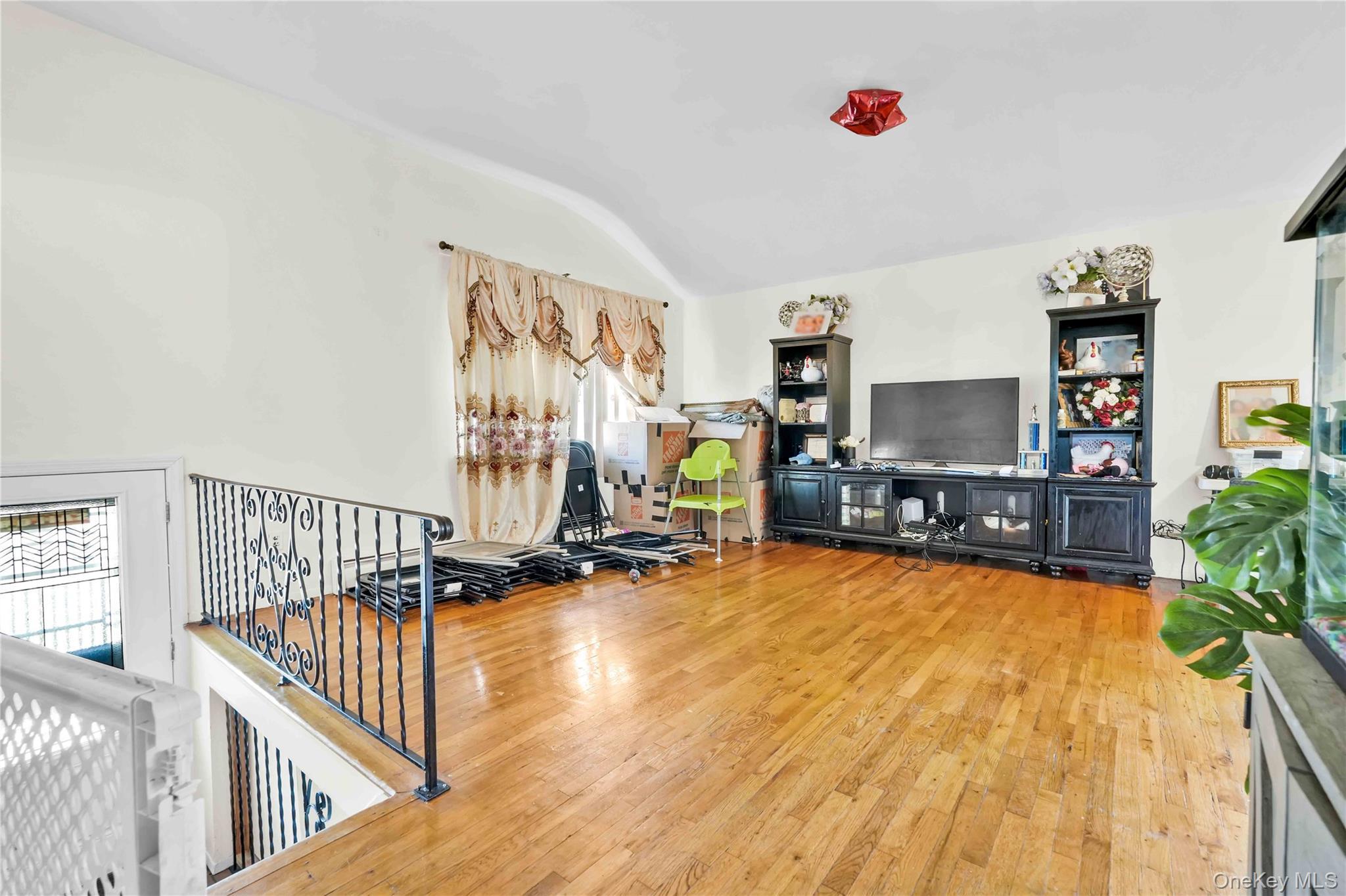 Single Family 119 Queens, NY 11434, MLS-920644-16