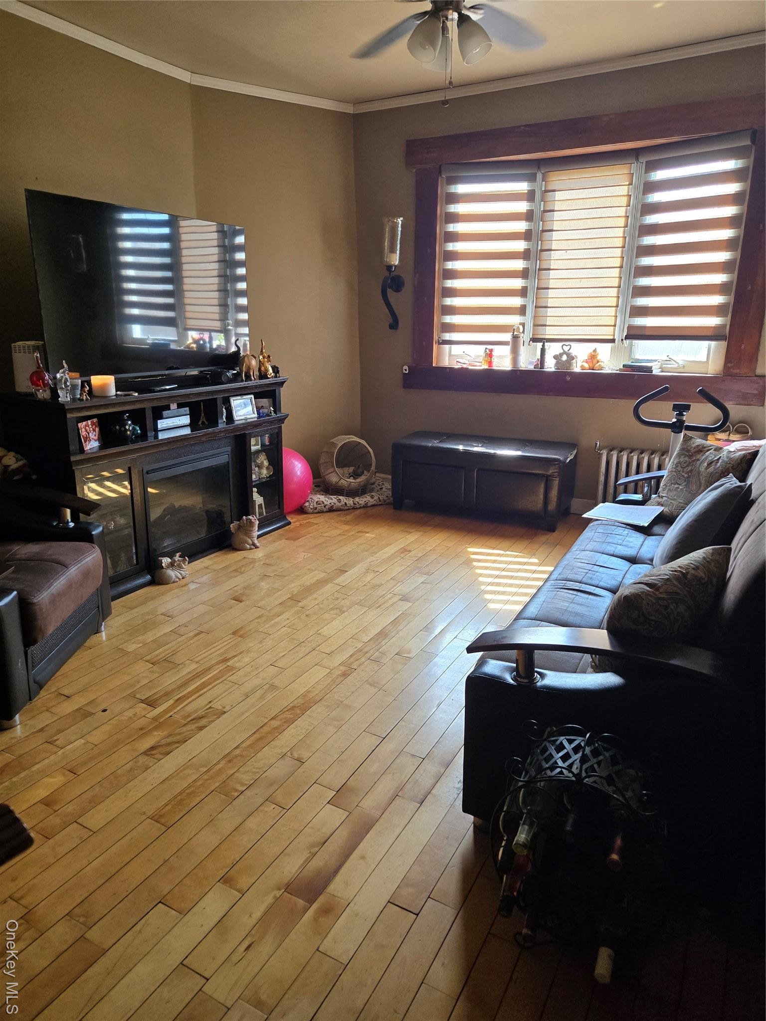 Single Family Turnbull  Bronx, NY 10473, MLS-920683-4