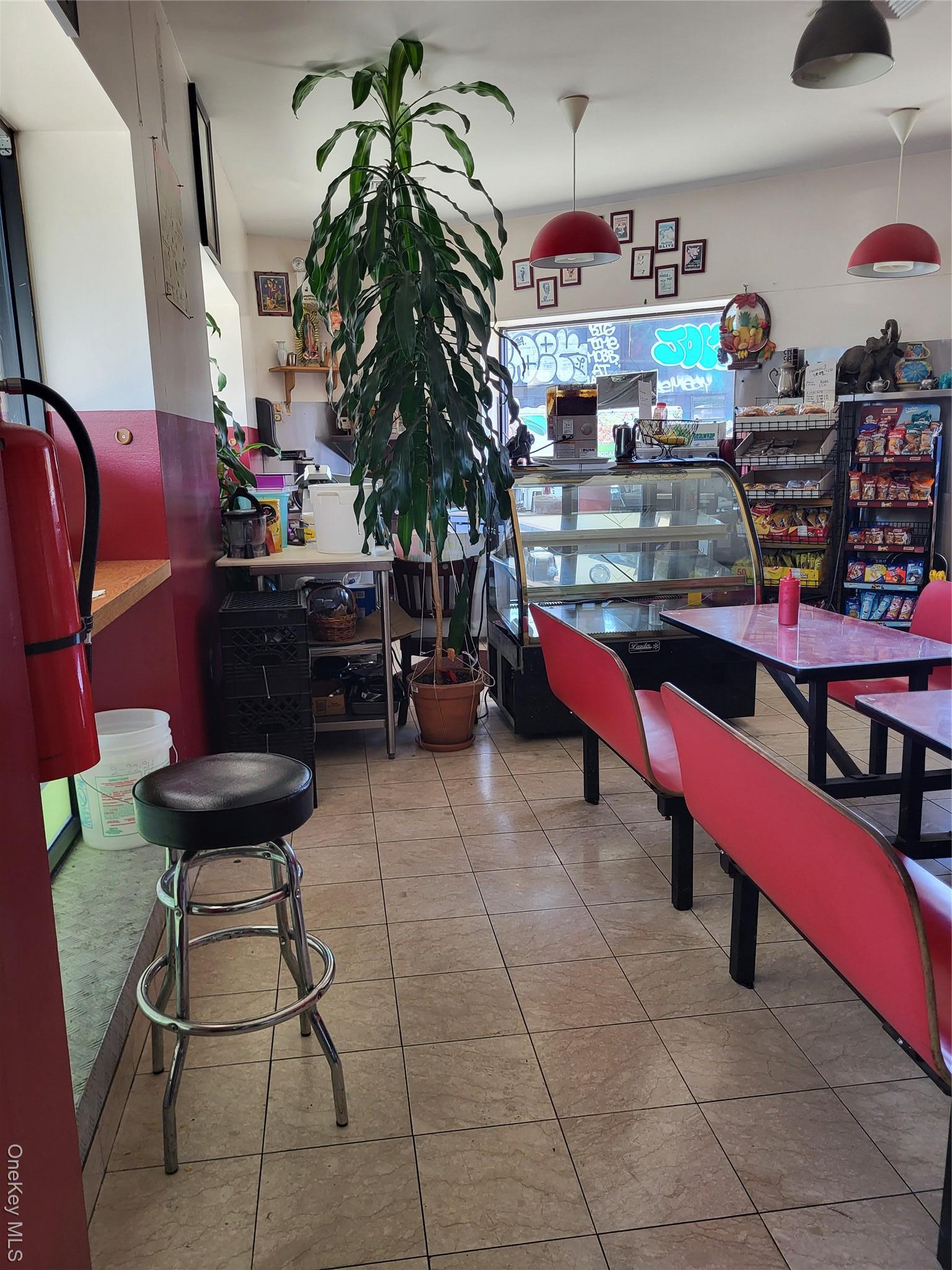 Business Opportunity Flushing Brooklyn, NY 11237, MLS-920736-12