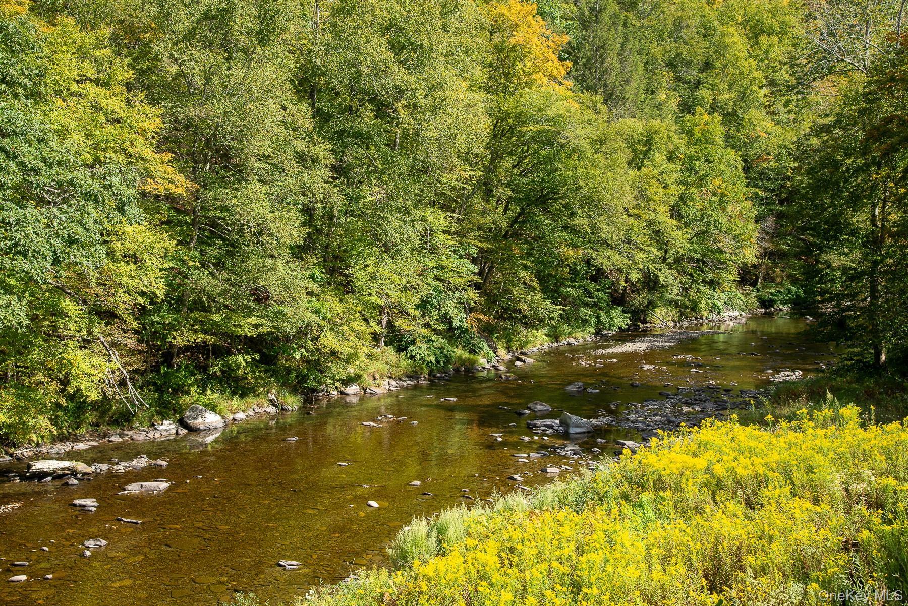 Single Family Beaverkill Sullivan County, NY 12758, MLS-920764-14