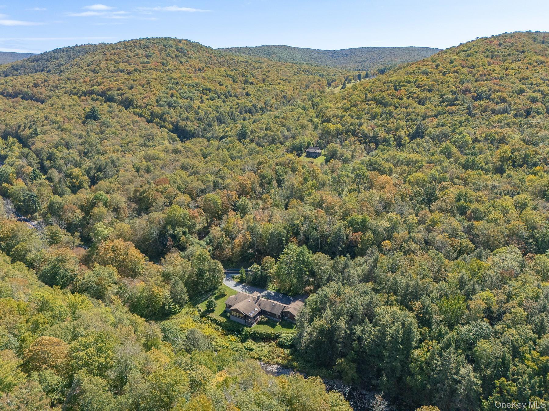 Single Family Beaverkill Sullivan County, NY 12758, MLS-920764-4