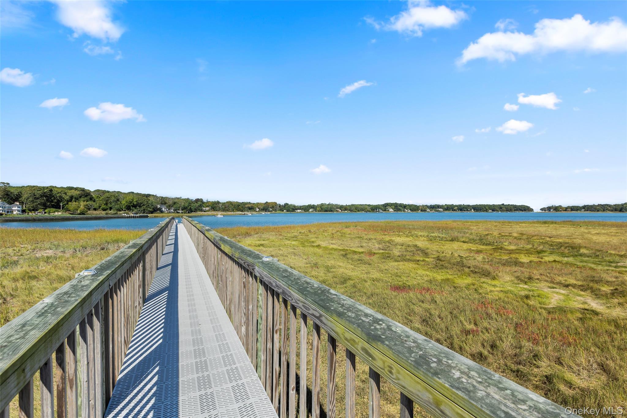 Single Family Pheasant  Suffolk County, NY 11733, MLS-920813-45