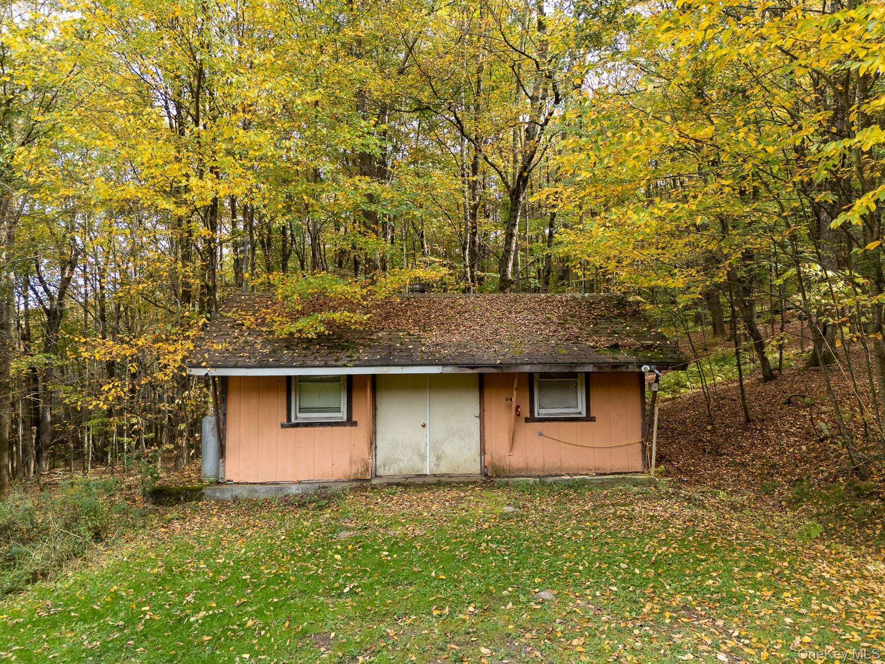 Single Family Magic Mountain Delaware County, NY 13739, MLS-920835-4