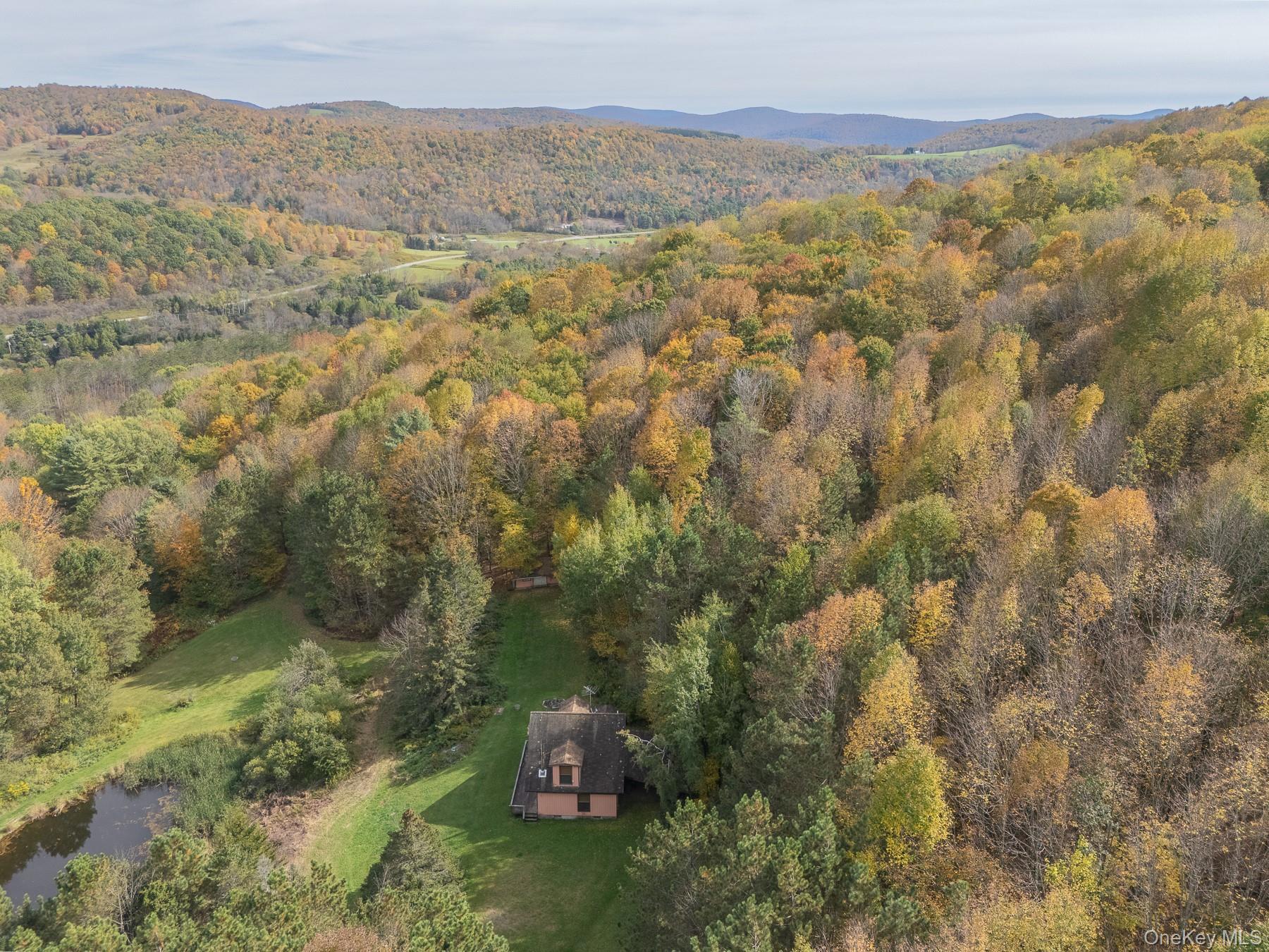 Single Family Magic Mountain Delaware County, NY 13739, MLS-920835-5