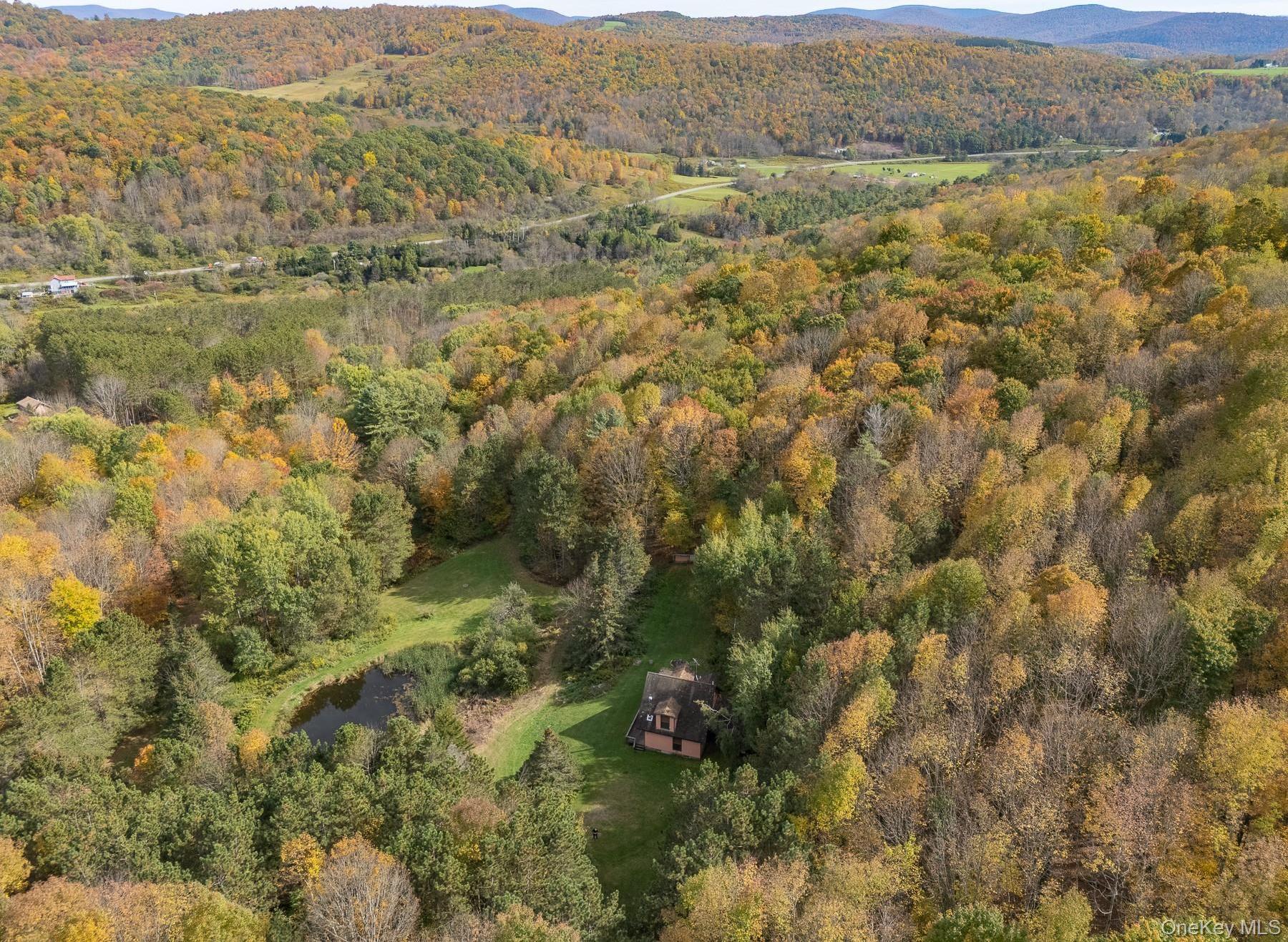 Single Family Magic Mountain Delaware County, NY 13739, MLS-920835-6