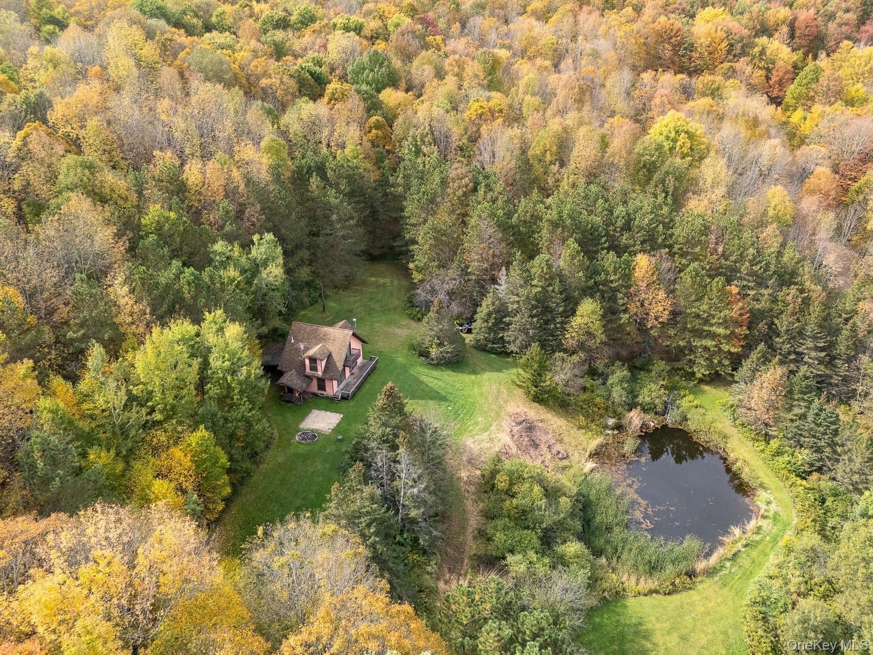 Single Family Magic Mountain Delaware County, NY 13739, MLS-920835-8