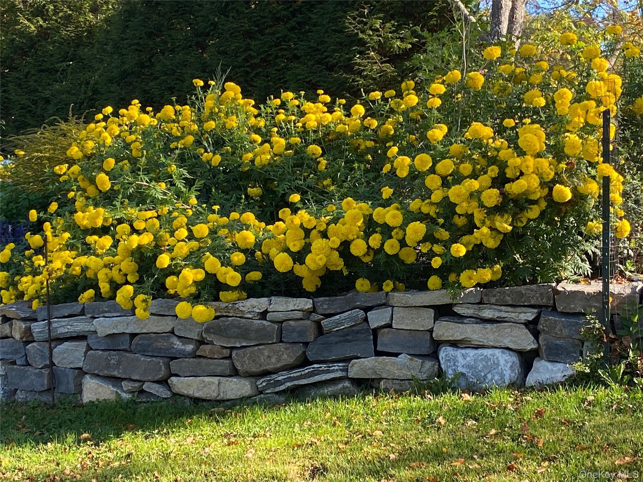 Single Family Quaker Hill  Putnam County, NY 12563, MLS-920923-25