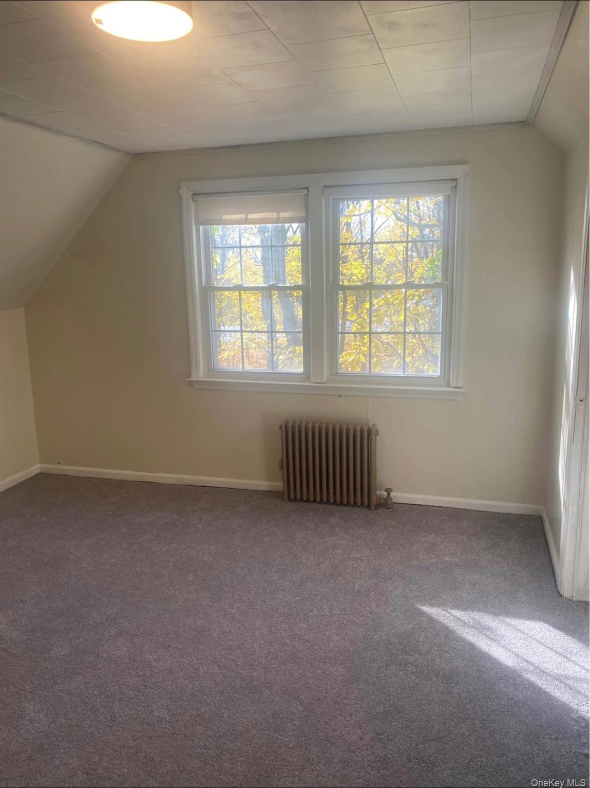 Single Family Mineola Nassau County, NY 11514, MLS-921022-11