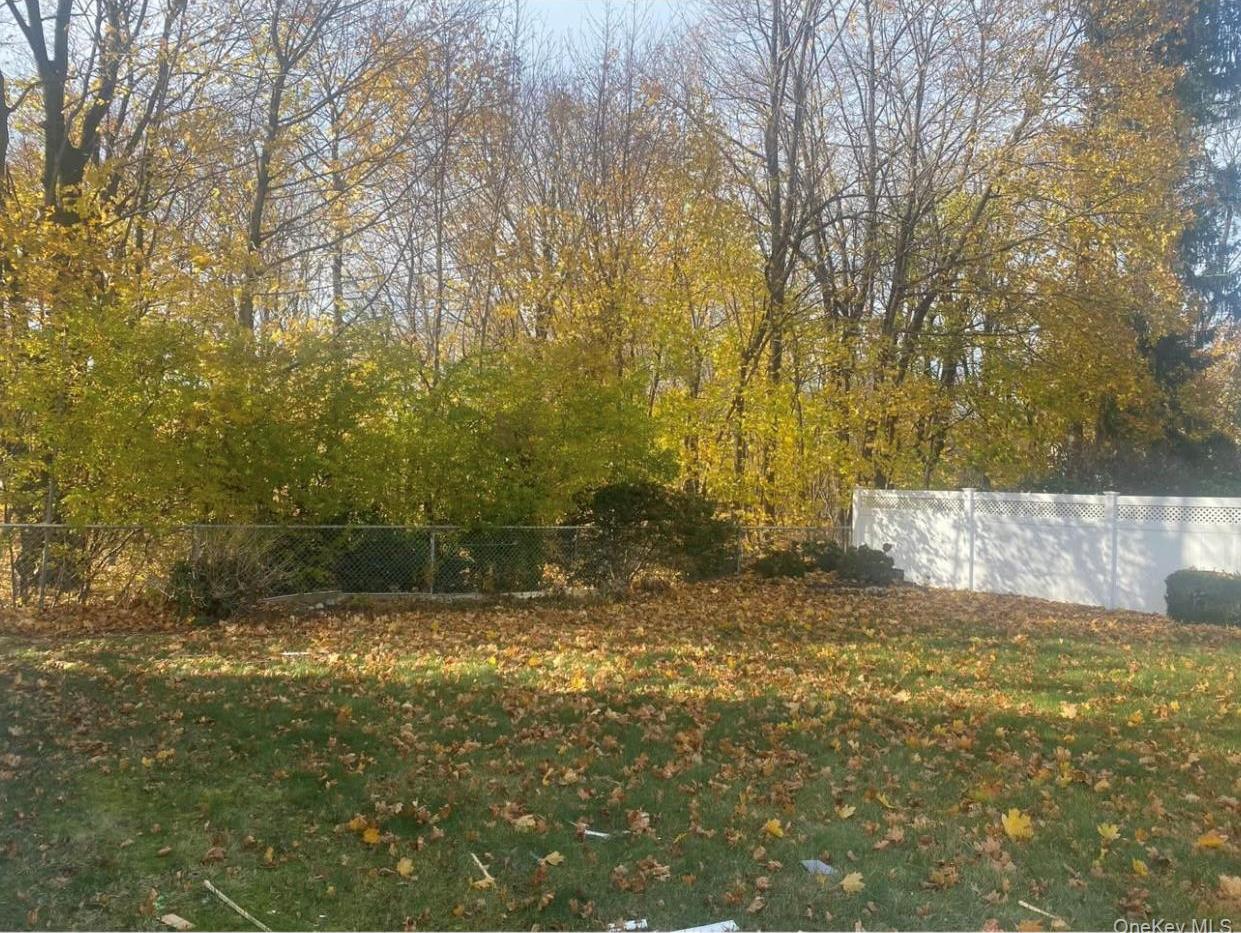 Single Family Mineola  Nassau County, NY 11514, MLS-921022-13