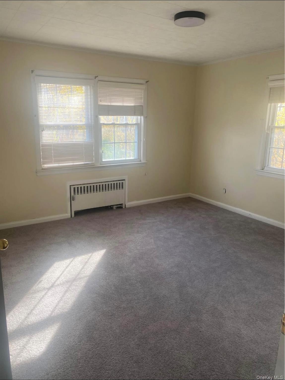 Single Family Mineola Nassau County, NY 11514, MLS-921022-4