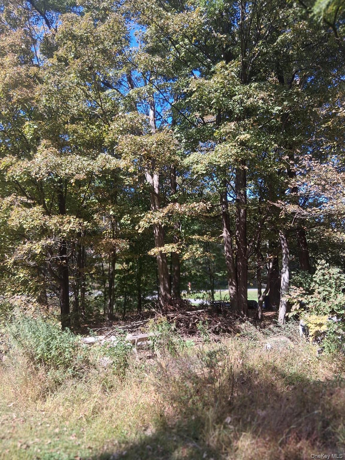 Single Family North  Dutchess County, NY 12571, MLS-921034-20