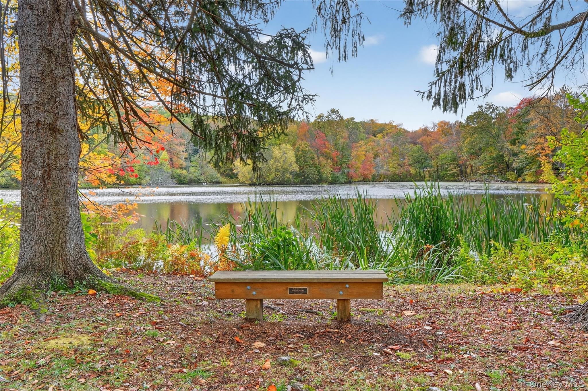 Single Family Willow Trail  Putnam County, NY 10512, MLS-921051-32