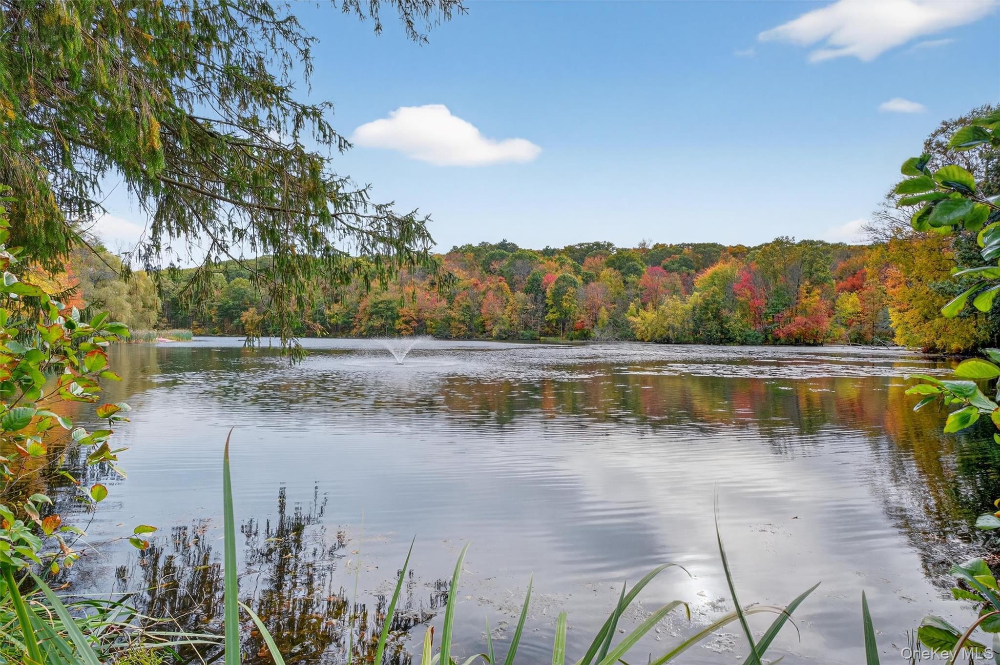 Single Family Willow Trail  Putnam County, NY 10512, MLS-921051-41