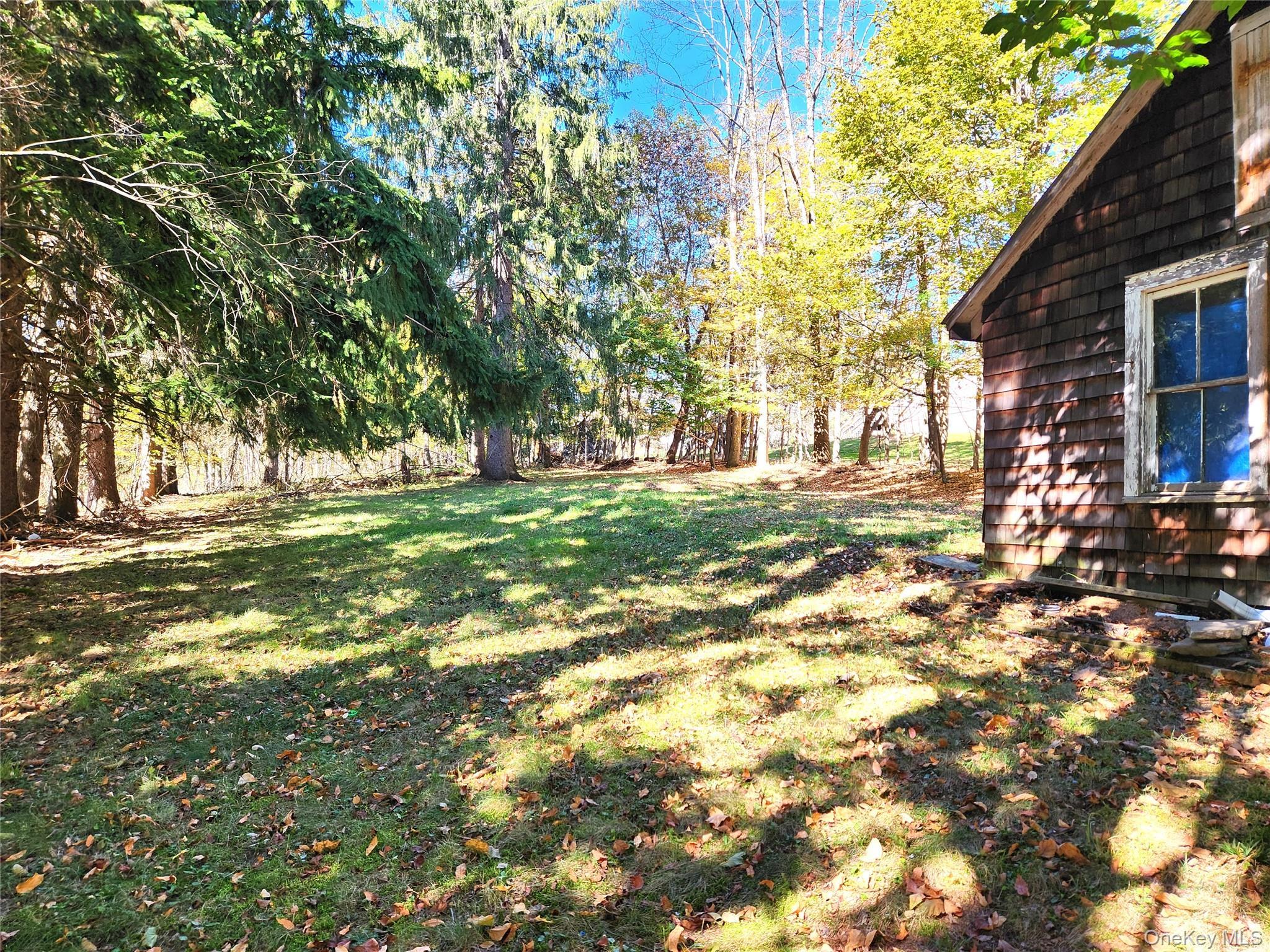 Single Family Youngs Hill  Sullivan County, NY 12754, MLS-921106-28