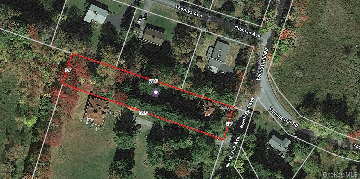 Single Family Youngs Hill Road  Sullivan County, NY 12754, MLS-921106-30