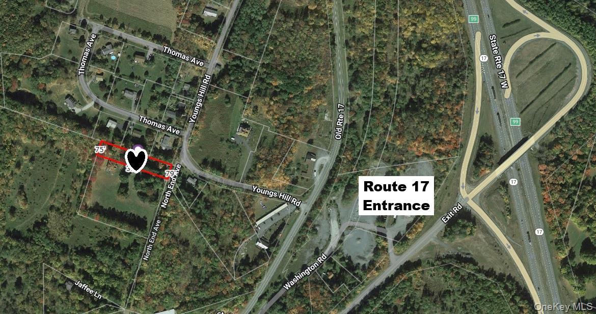 Single Family Youngs Hill Road  Sullivan County, NY 12754, MLS-921106-31