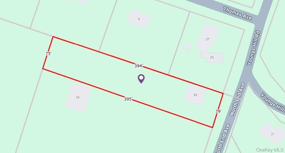 Single Family Youngs Hill Road  Sullivan County, NY 12754, MLS-921106-32