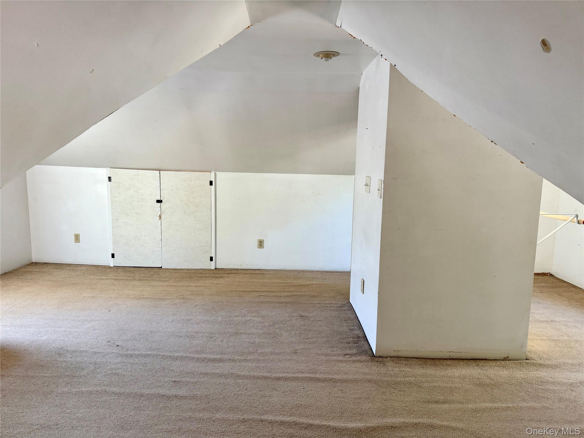 Single Family Bona Ventura Ulster County, NY 12589, MLS-921136-33