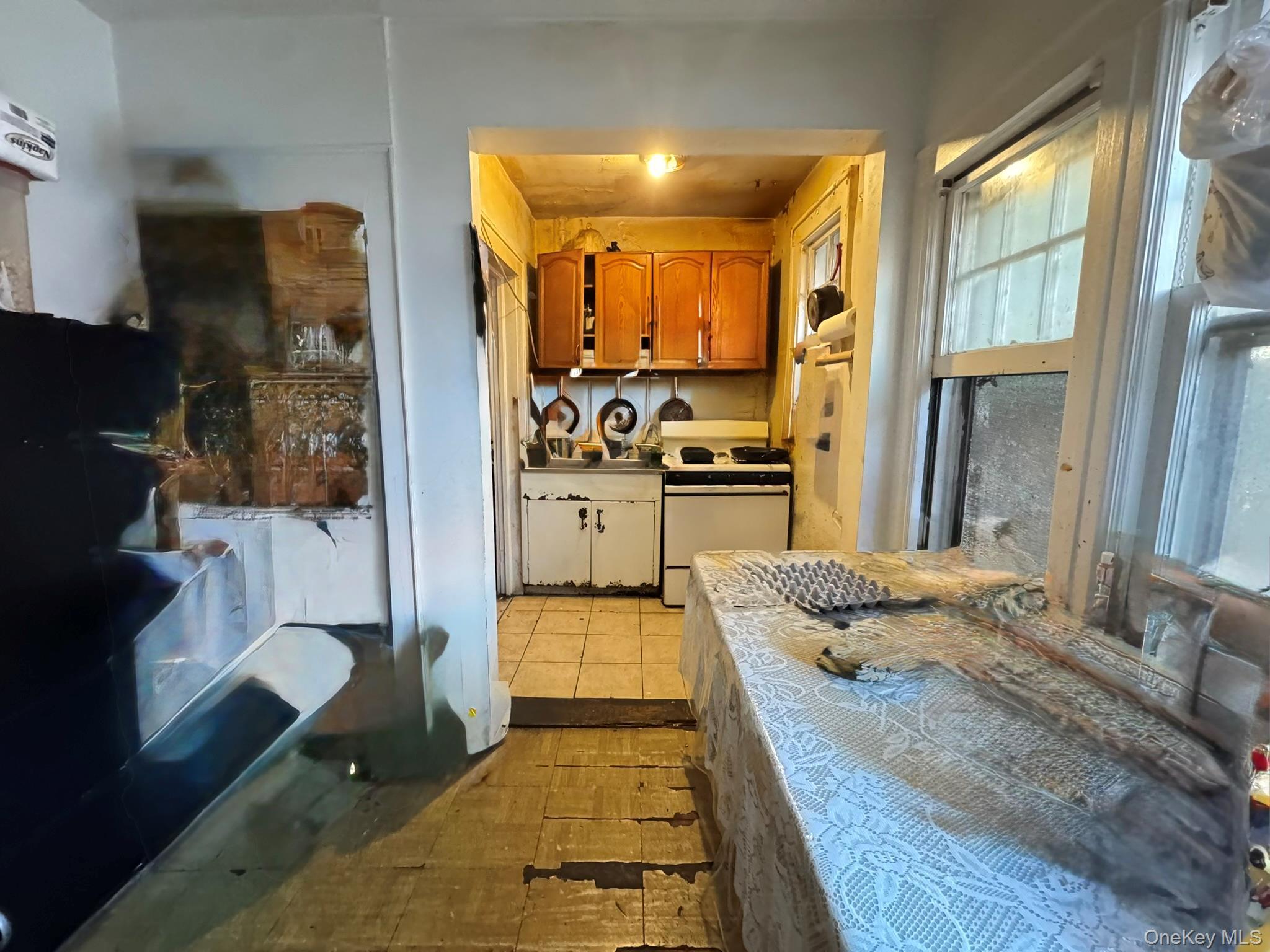 Single Family Denman Queens, NY 11373, MLS-921196-3