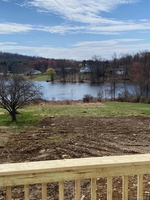 Single Family Ridgebury  Orange County, NY 10973, MLS-921214-3