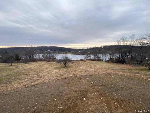 Single Family Ridgebury  Orange County, NY 10973, MLS-921214-4