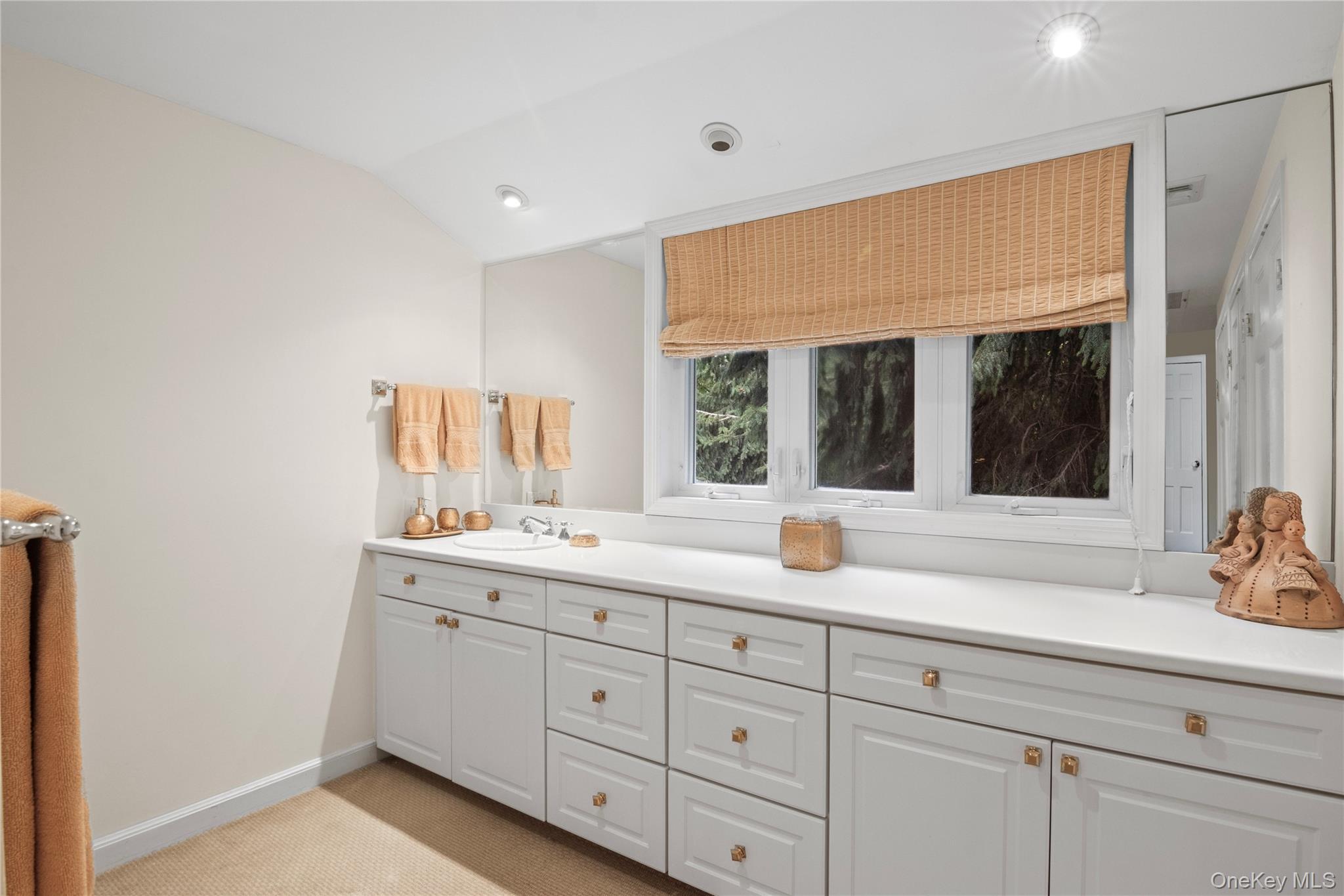 Single Family Ridge Nassau County, NY 11791, MLS-921243-17