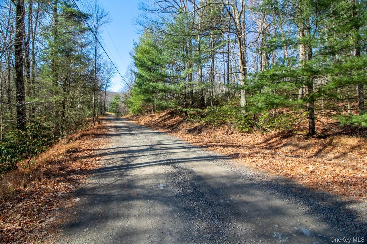 Single Family Stillerberg Strada  Ulster County, NY 12446, MLS-921319-10