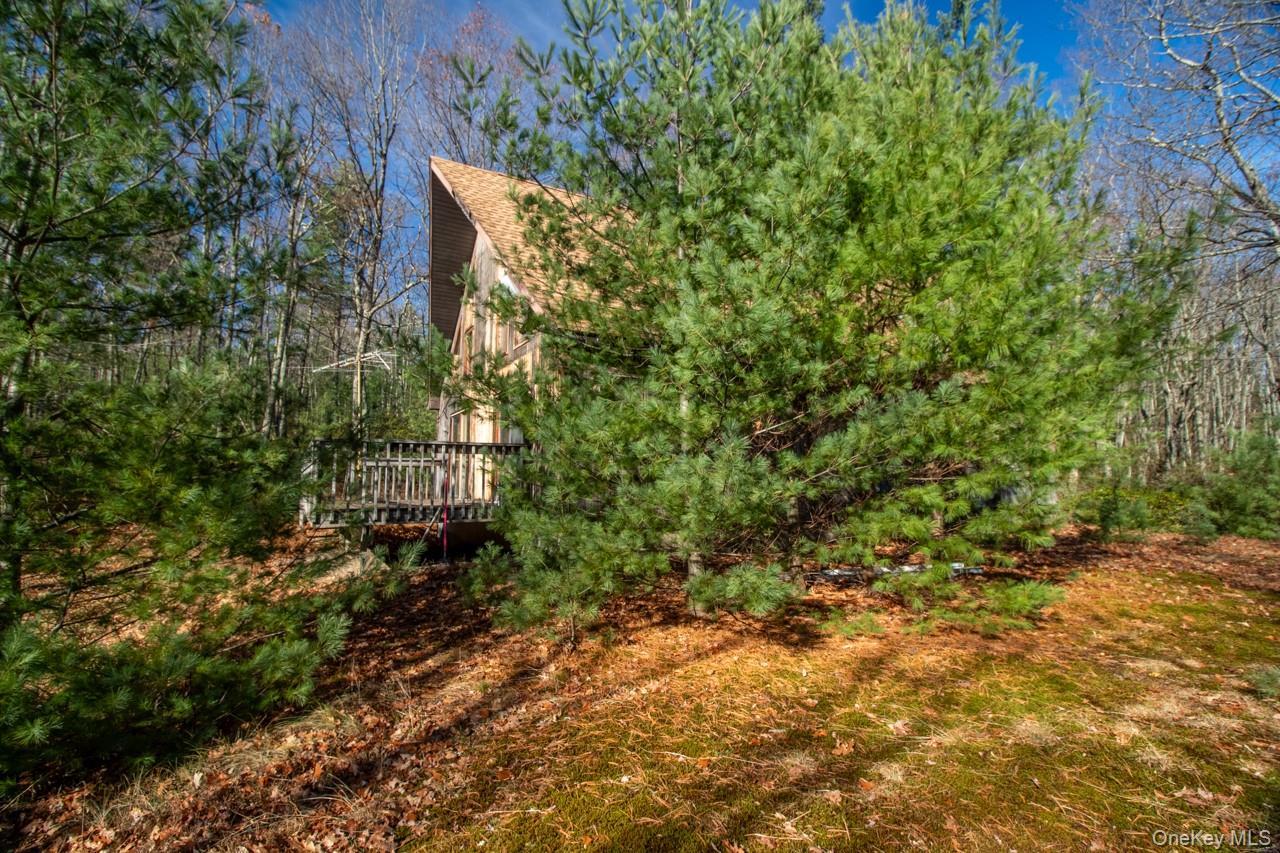 Single Family Stillerberg Strada  Ulster County, NY 12446, MLS-921319-5