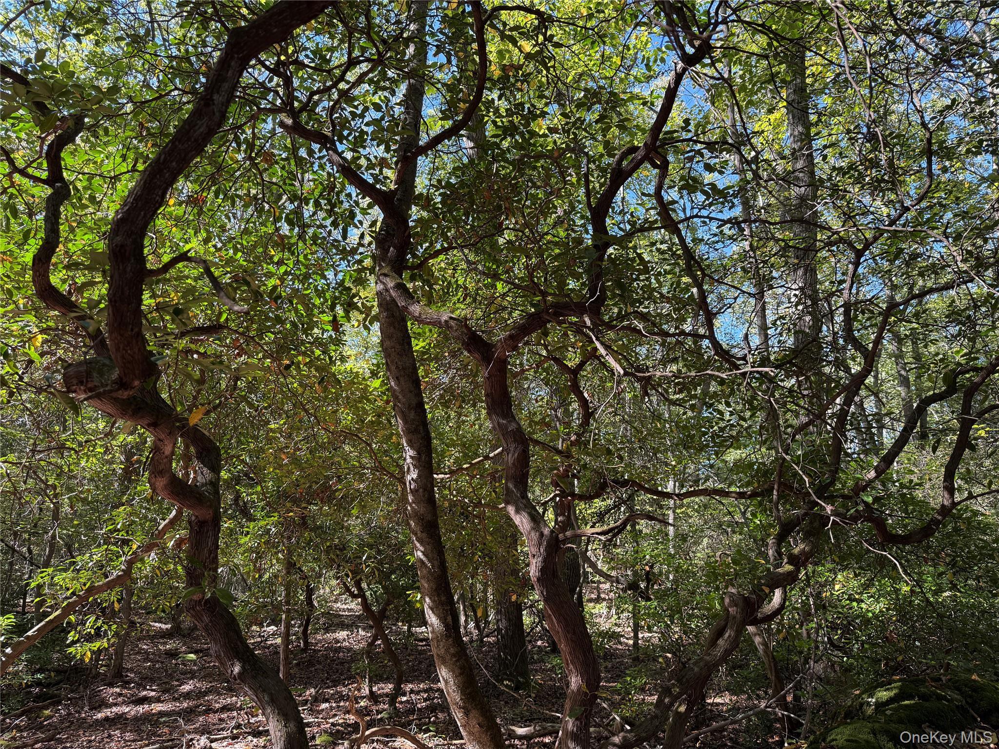 Single Family Eastwoods  Westchester County, NY 10576, MLS-921323-10