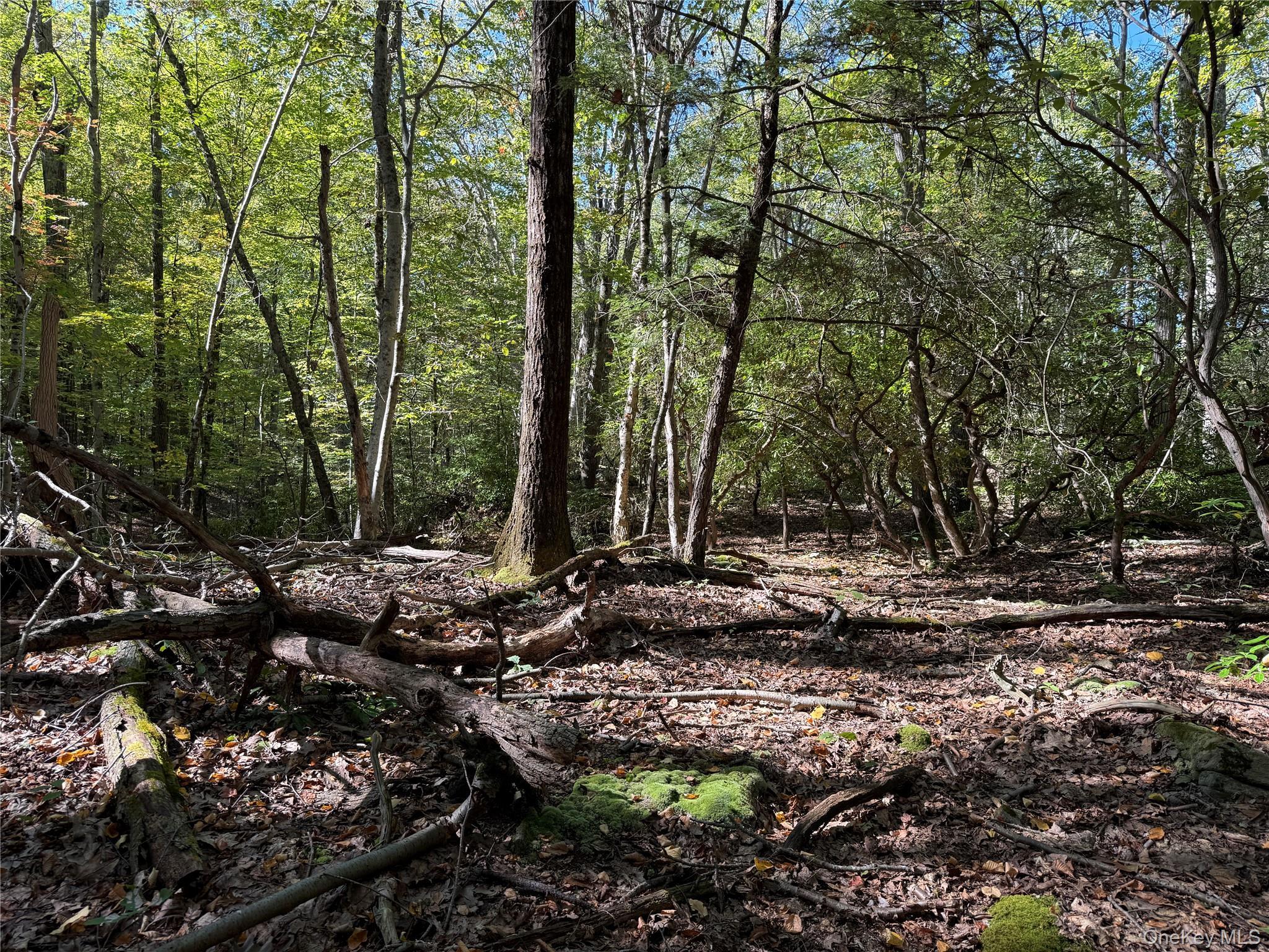 Single Family Eastwoods  Westchester County, NY 10576, MLS-921323-11