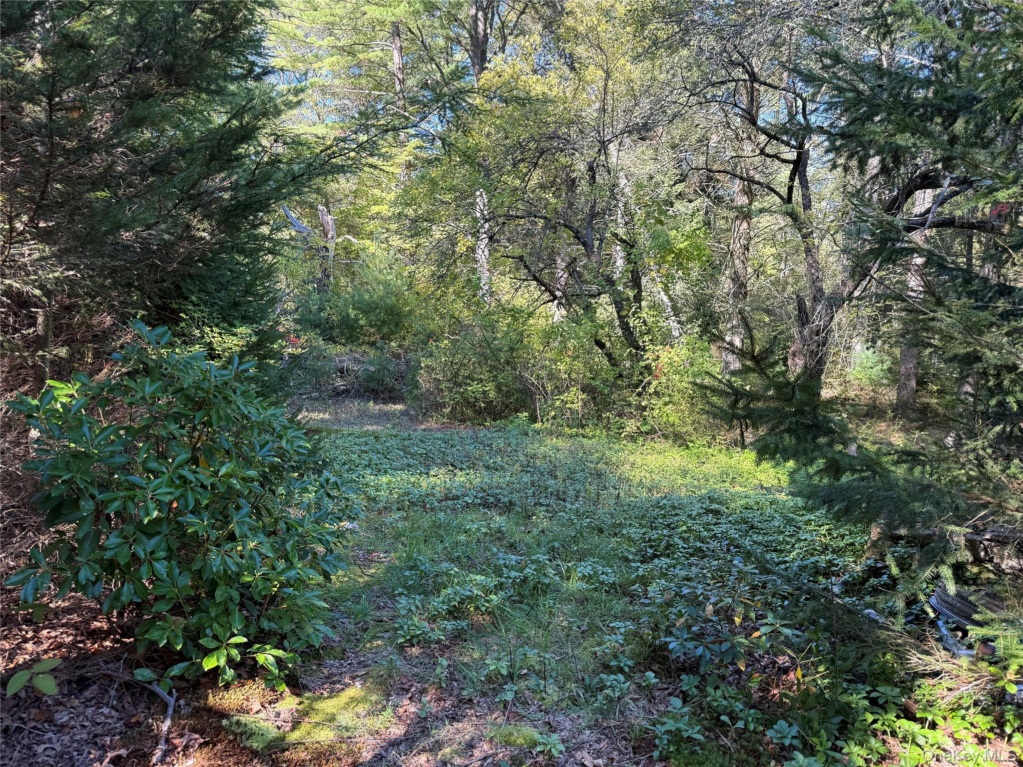 Single Family Eastwoods  Westchester County, NY 10576, MLS-921323-4