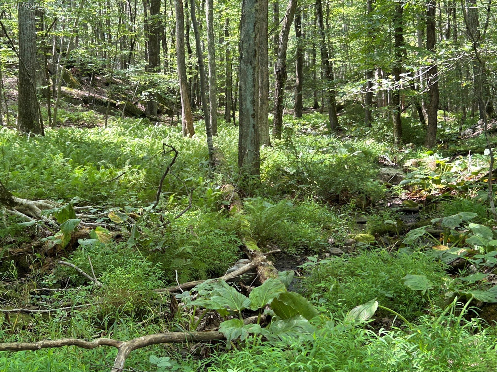 Single Family Eastwoods  Westchester County, NY 10576, MLS-921323-6