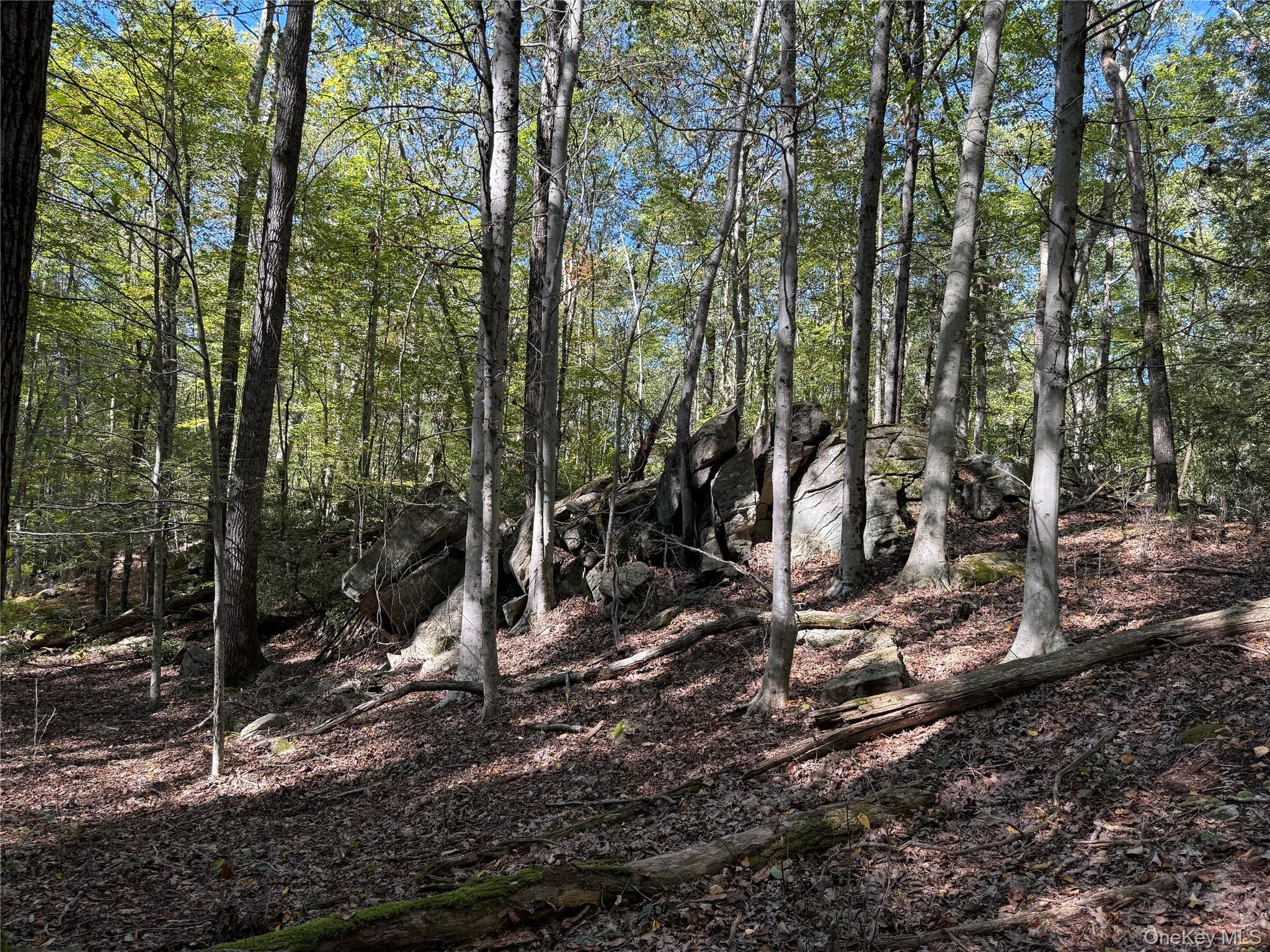 Single Family Eastwoods  Westchester County, NY 10576, MLS-921323-7